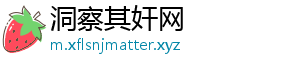洞察其奸网